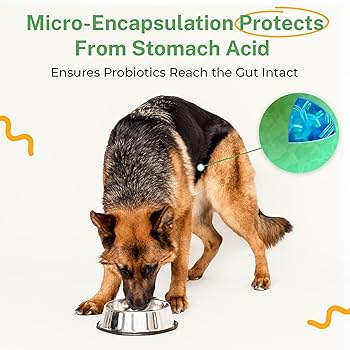 犬用プロバイオティック（消化器ケア） 高品質ペット用品ならシュトルヒ公式ショップ