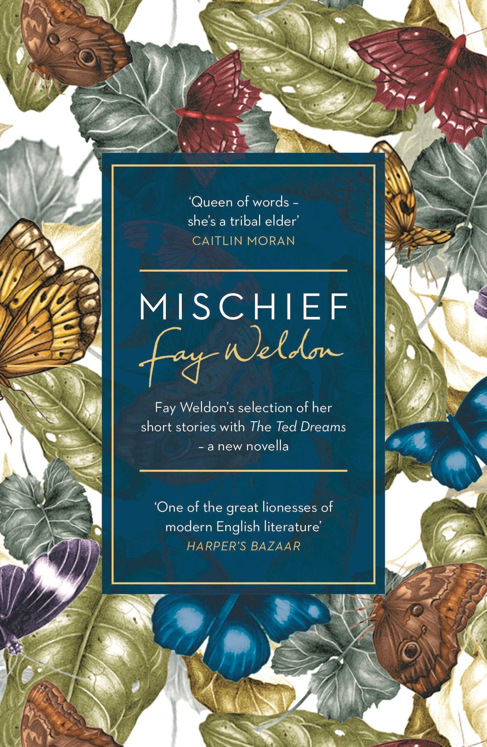 Mischief by Fay Weldon (Paperback Book)