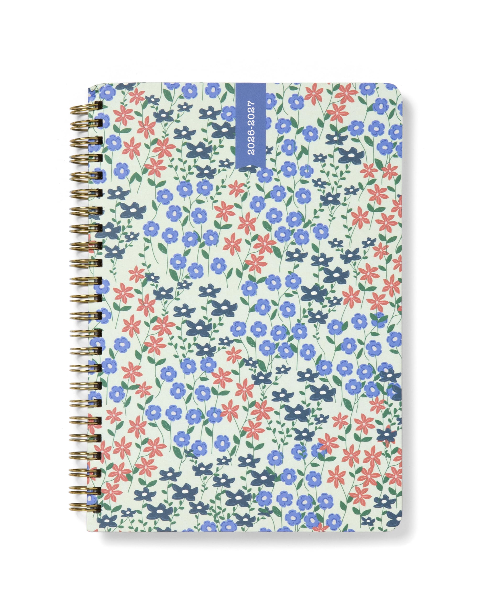 Letts of London Spring Valley A5 Academic 2026/2027 18-month week to view diary - Mint 27-031799