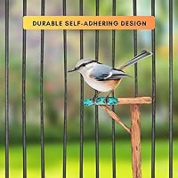 Vista 5 de Eco-Fused - Vendaje autoadhesivo - Vendaje para lesiones para mascotas, perros, gatos, caballos - Paquete de 12 - Vendajes para patas de perros