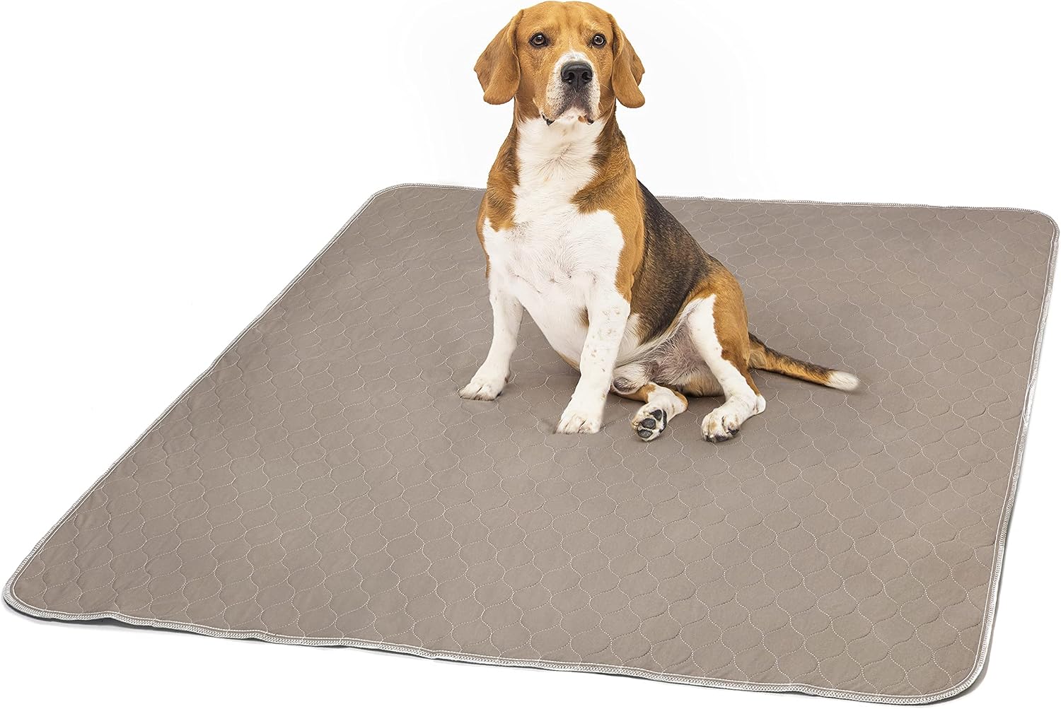 Washable Pee Pads for Dogs Reusable Pee Pads for Dogs Whelping Pad Puppy Pad Pee Pads for Dogs (50"x50" (2 Pack) Brown)