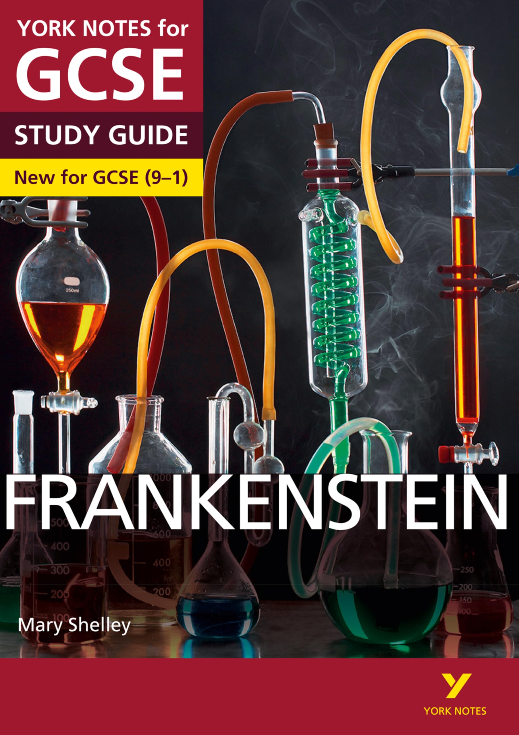 Alexander Fairbairn-Dixon Frankenstein: York Notes for GCSE Paperback Book