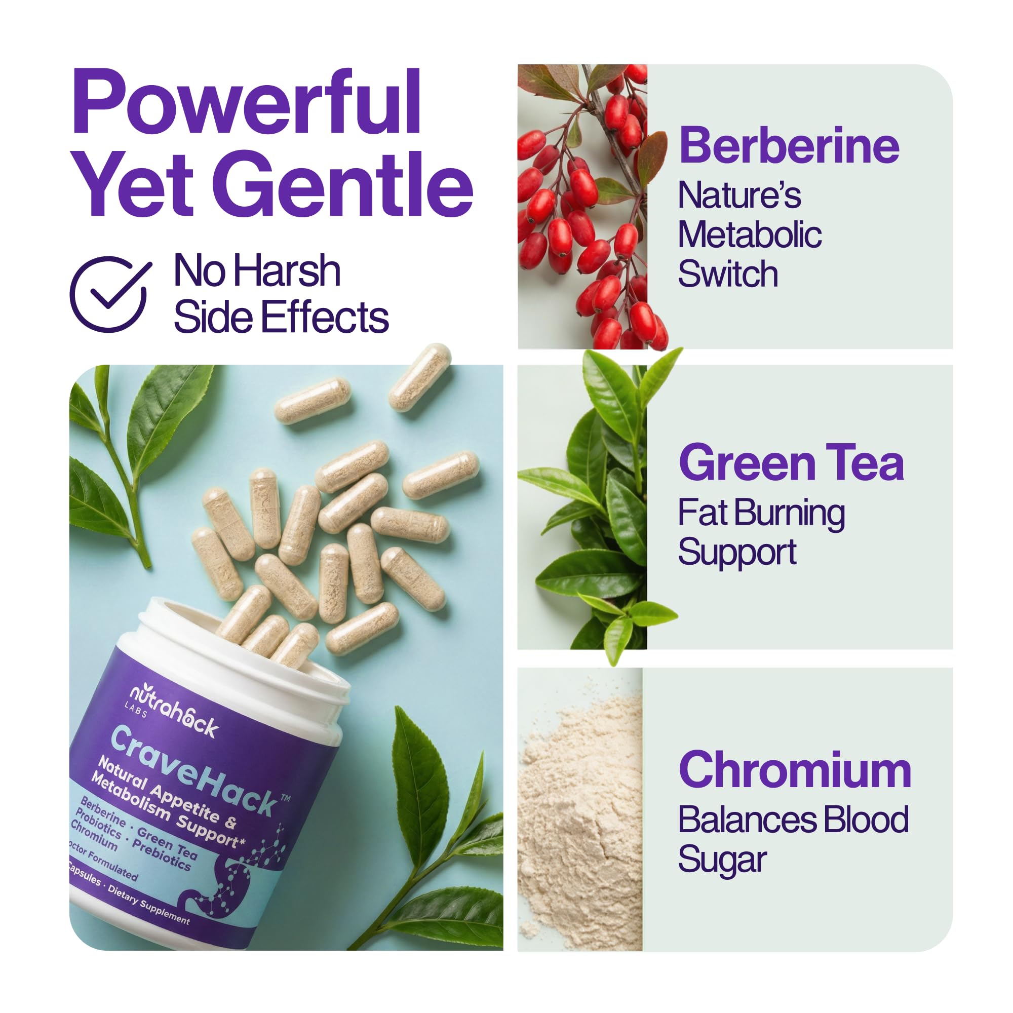 GLP-1 Supplement for Women and Men | Hunger & Metabolism Support - Expert Formulated to Support GLP1 | Probiotic and Prebiotic (60 Capsules) — Amazon image 7