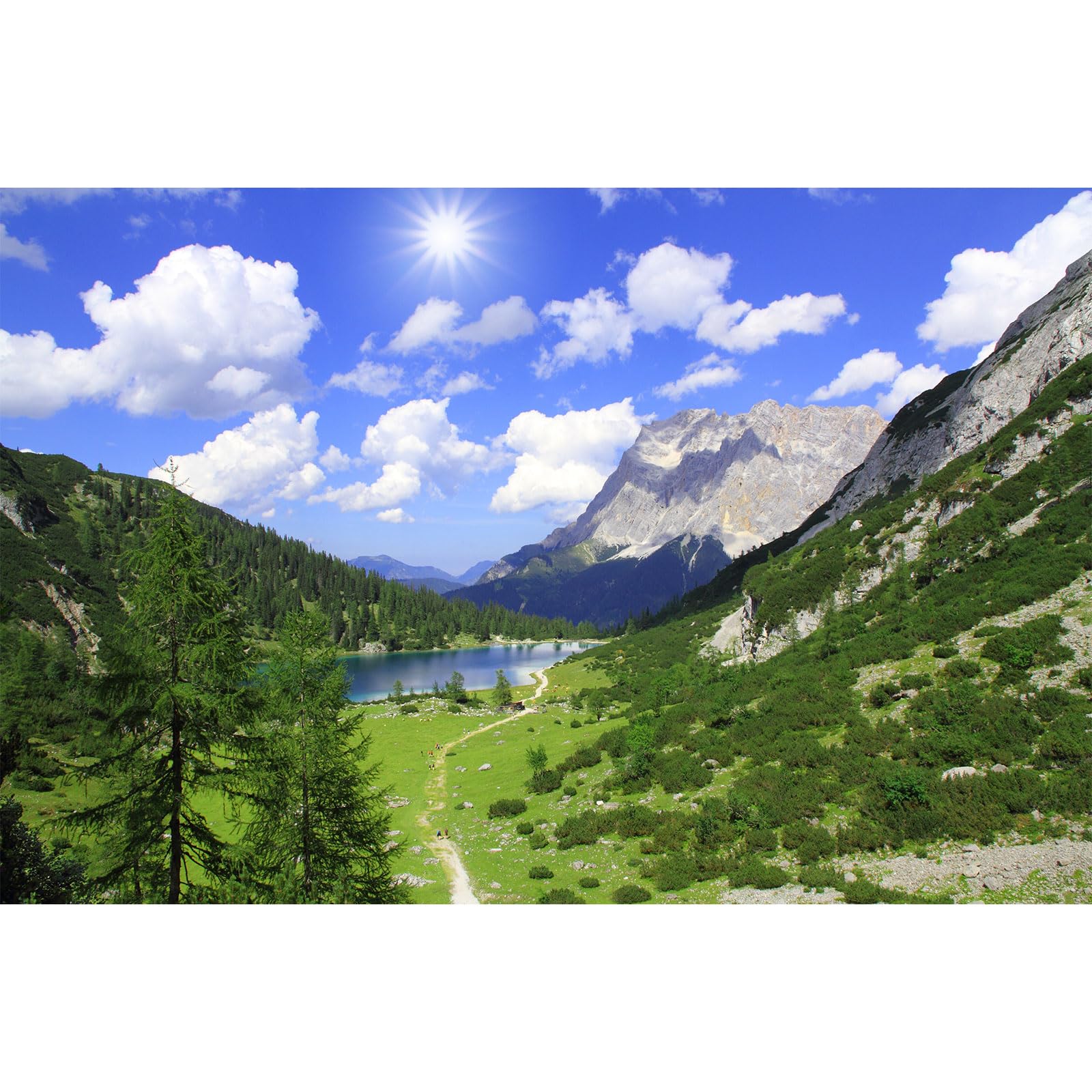 Mountains Aquarium Background Green Gobi Plants Pine Tree Terrarium Background Tranquil Lake Blue Sky Sunbeam with Cloud Fish Tank Background Mountain Theme Reptile Habitat Background 24x12in