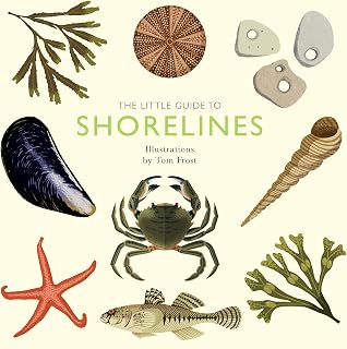 The Little Guide to Shorelines