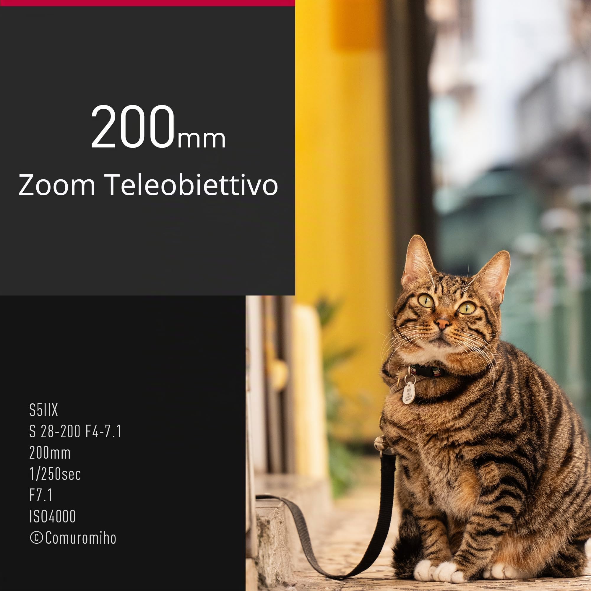 Panasonic Lumix S-R28200E 28-200 mm F4.0-7.1 Macro OIS, Obiettivo per Fotocamera Full Frame, Zoom Ampio e Lungo, Dual IS 2, Resistente a Polvere/Schizzi/Gelo, Ottimo per Video 4K, Nero