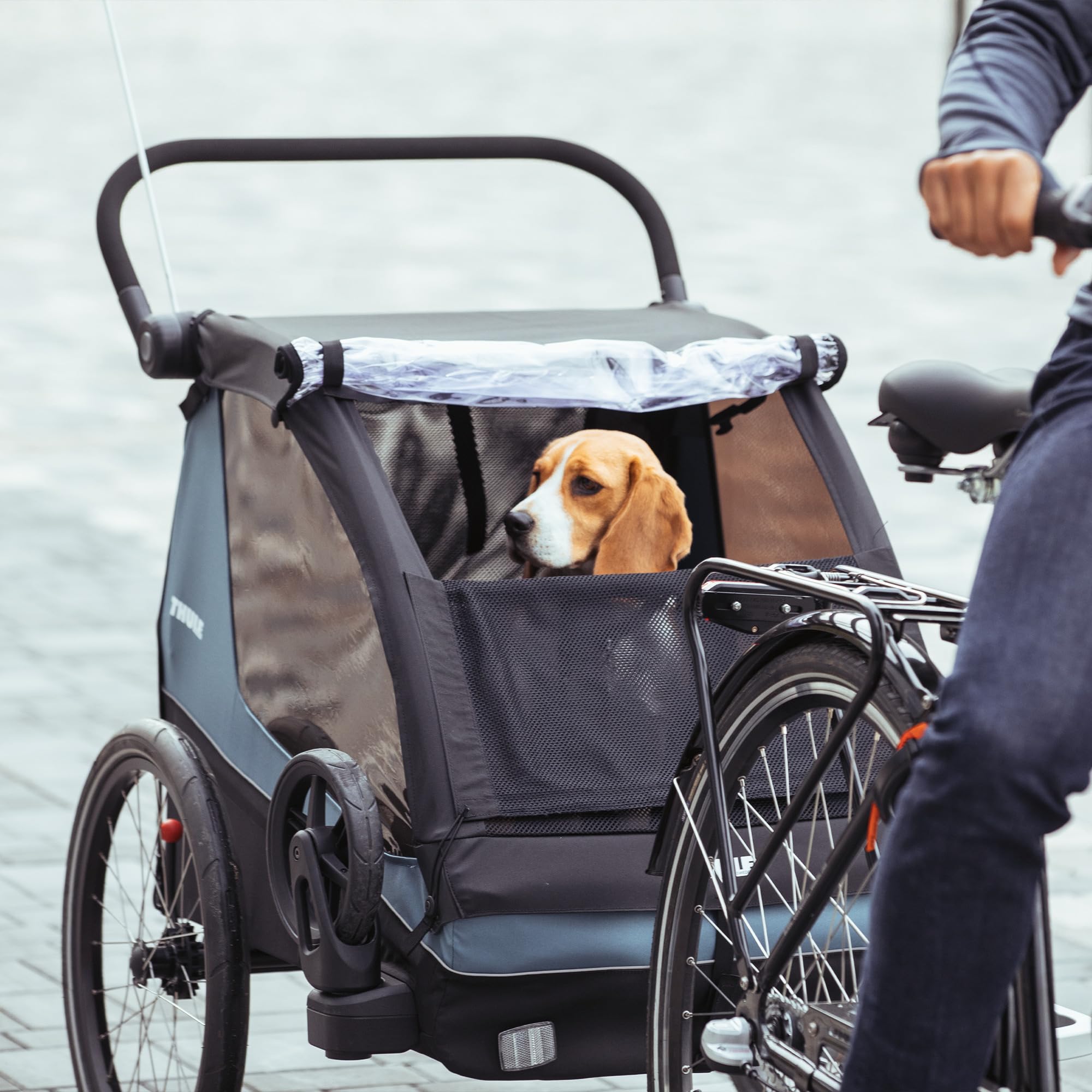Thule, Courier Dog Trailer Kit, Kit De Remolque De Perros, Neutral, U, Admirador Unisex