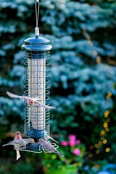 Brome Squirrel Solution 150 Squirrel-Proof Bird Feeder for Wild Birds 4 Stainless Steel Perches, 2.6 lb Seed Capacity, Chew-Proof, Free Seed Funnel Included