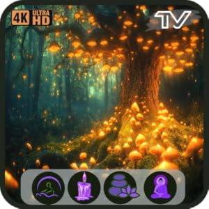 Magical Forest TV: 4K-Atmosphäre mit verzauberten Pilzen