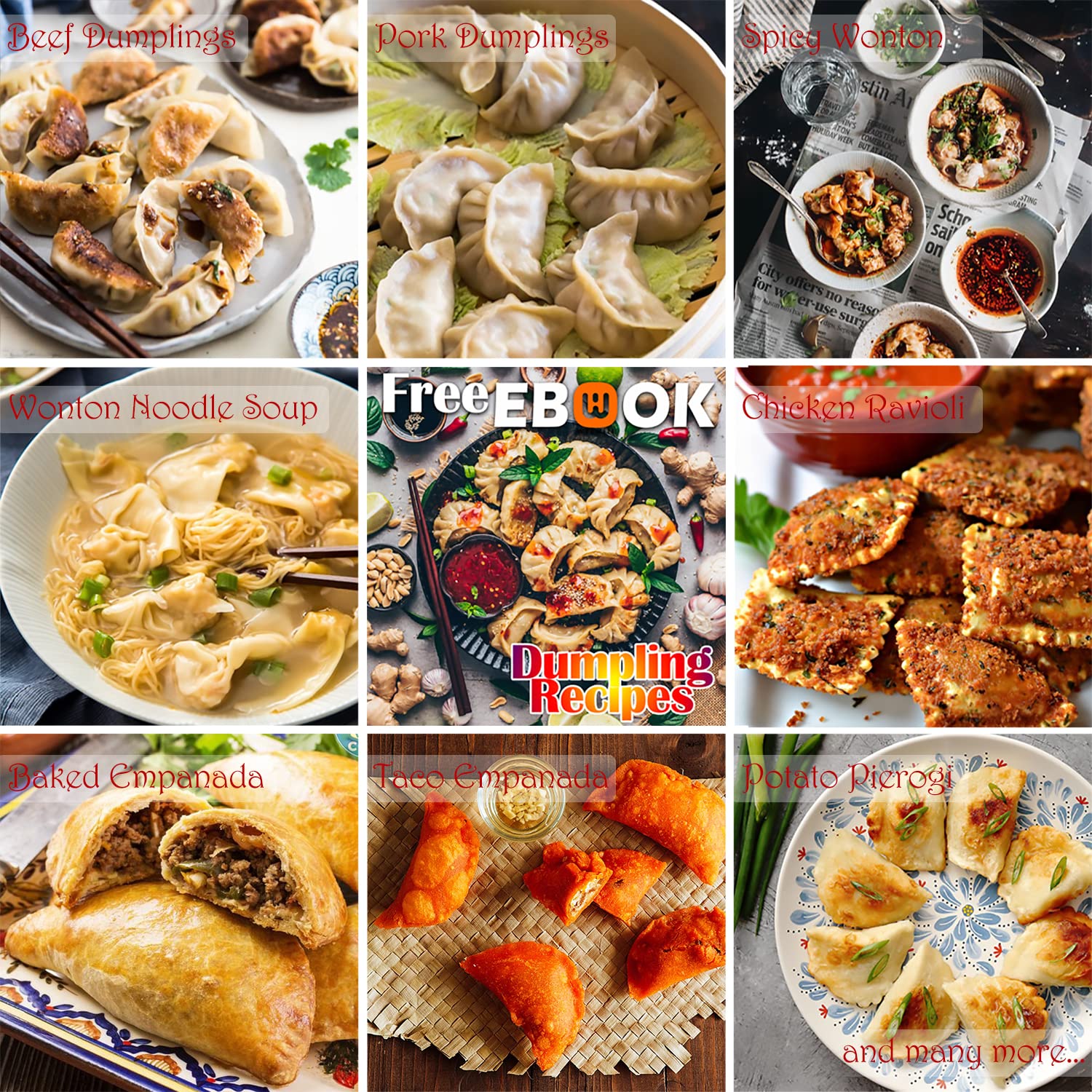 Amazon.com: 升級XL 餃子機4 件不鏽鋼5 英吋(約12.7 公分)Empanada 壓