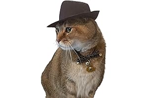 Indiana Jones Fedora Hat
