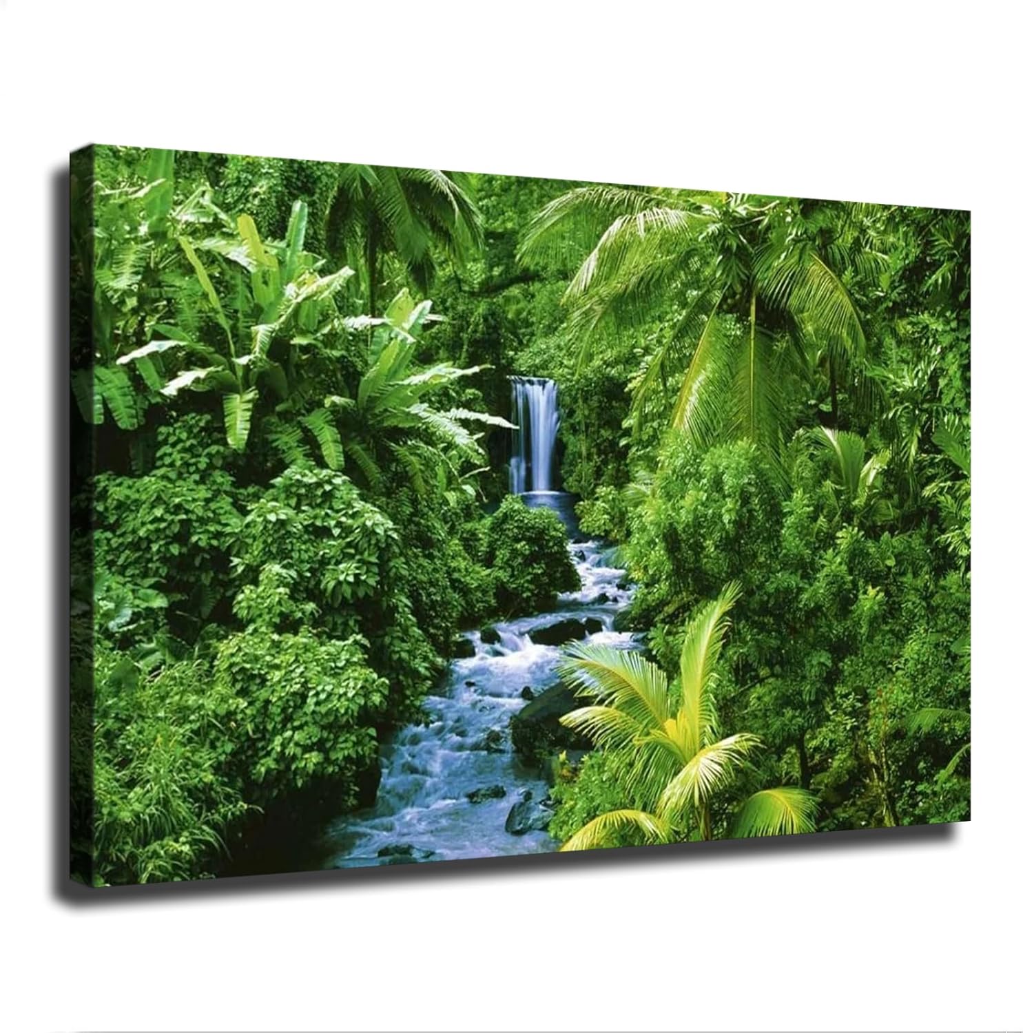 SWSYMX Tropical Jungle Forest Nature Rainforest Waterfall