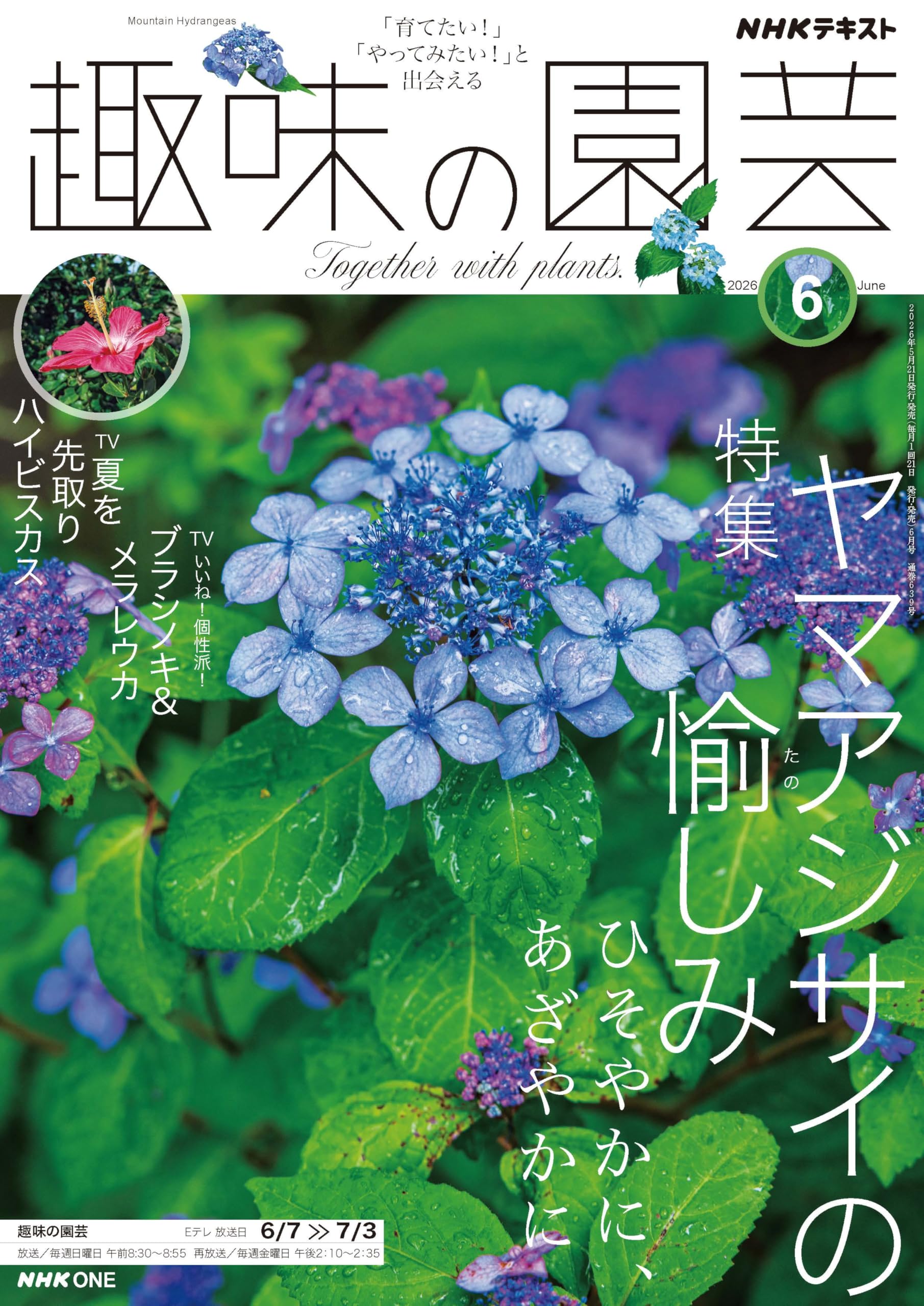 趣味の園芸　72冊セット 趣味の園芸 (6月号) |本 | 通販 | Amazon