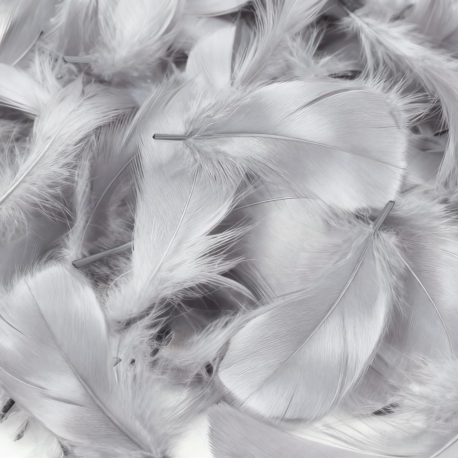 Mbsomnus Feathers for Crafting 600 Pcs Gray Feathers Natural Craft Feathers 5-12 cm Feathers for DIY Crafts Dream Catcher Earrings Headdress Feather Flowers Wedding Party Holiday Decoration