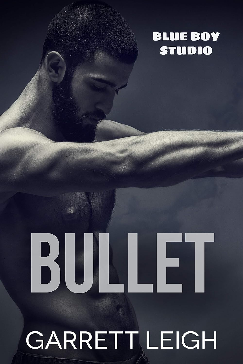 book cover for Bullet