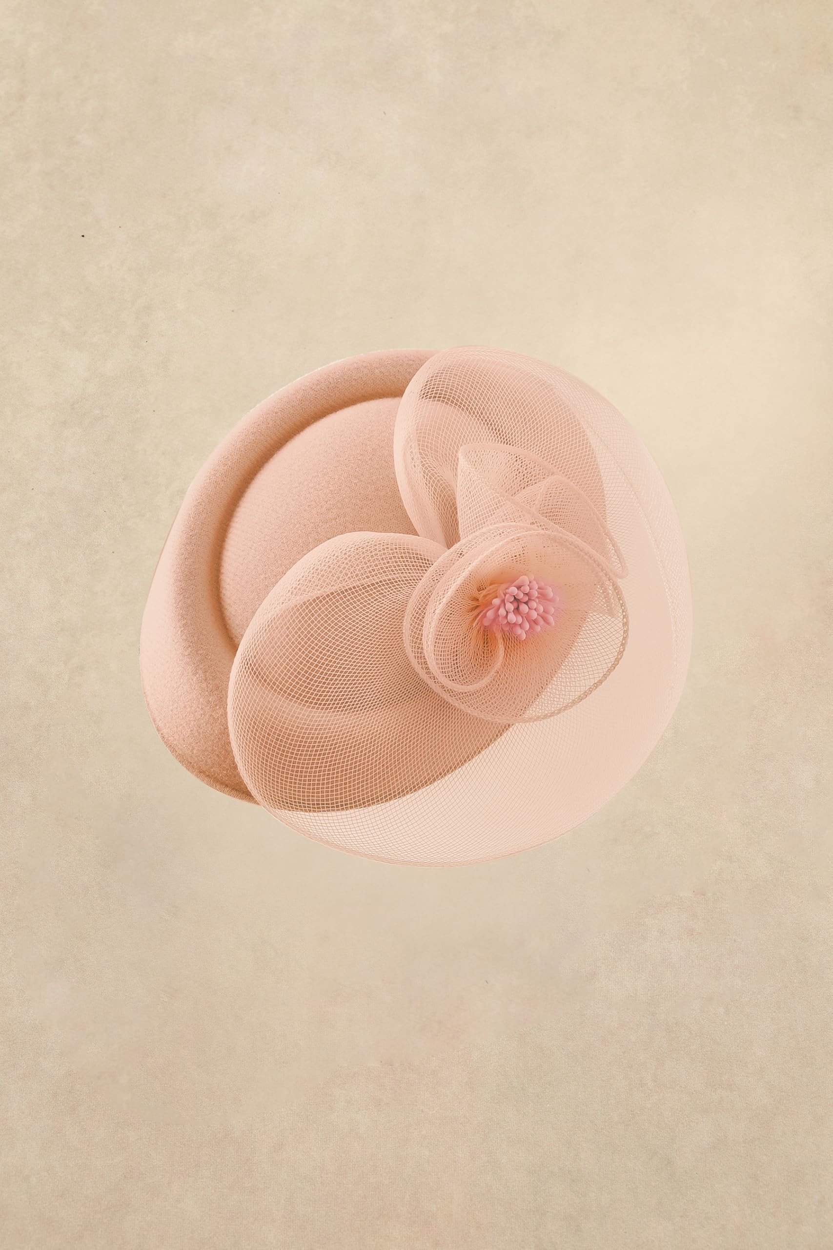 BABEYOND Tocado para mujer, elegante gorro con diadema de flores de malla y clip para el pelo para bodas, día de carrera de damas, fiesta de cóctel