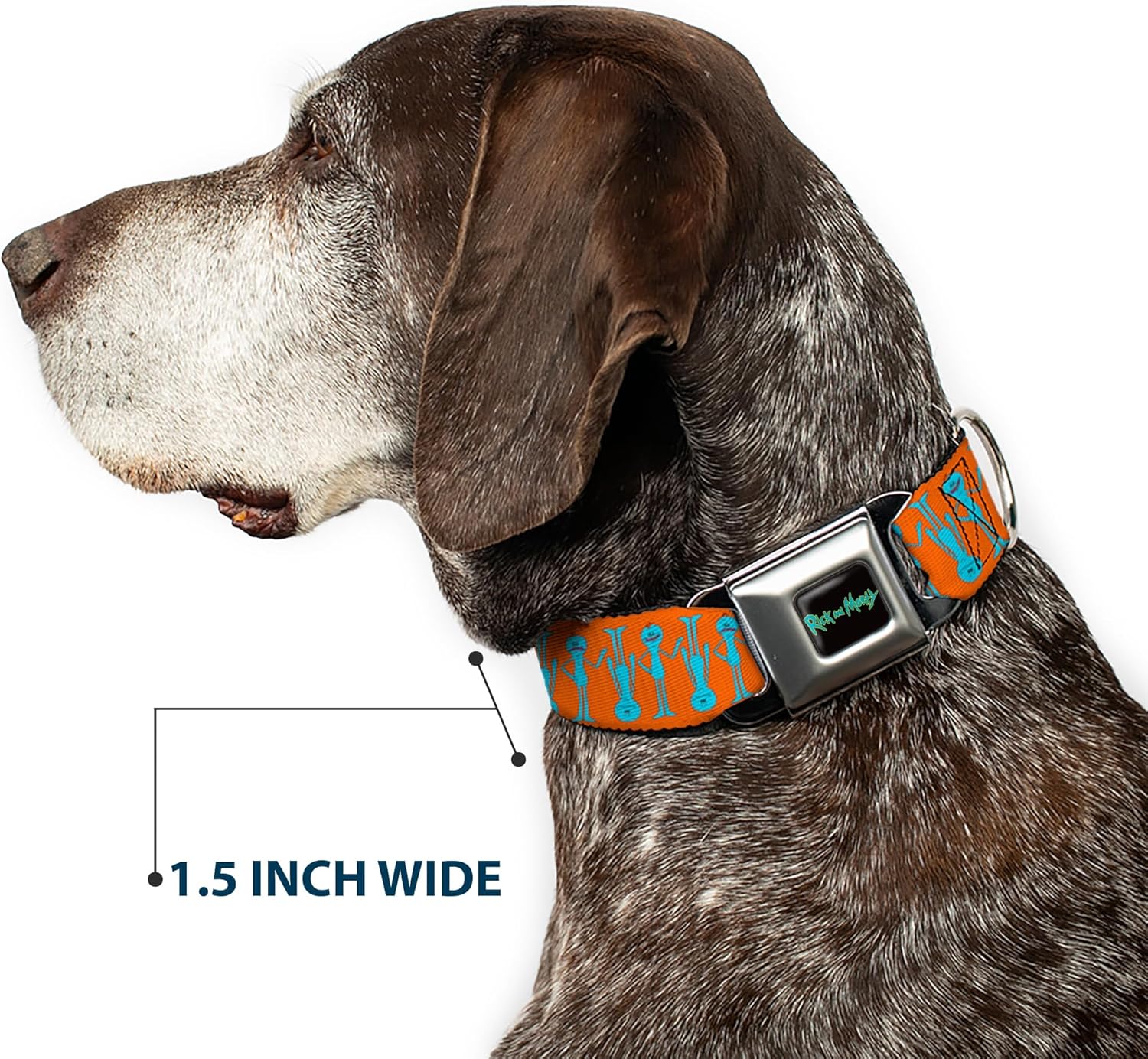 Buckle-Down Dog Collar Seatbelt Buckle Mr. Meeseeks Poses Flip Orange, 1" Wide - Fits 9.5-13" Neck - Small, DC-SB-RMYA-WRMY004-1.0-S