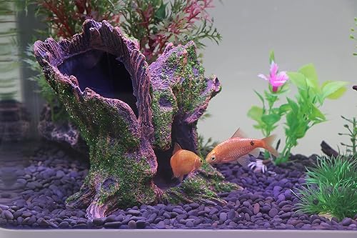 Miniatura 8 de AQUA KT Acuario Paisaje Árbol Tocón Tronco Hueco Cíclidos Cíclidos Rocas de Cueva para Betta Fish Ocultar Tanque