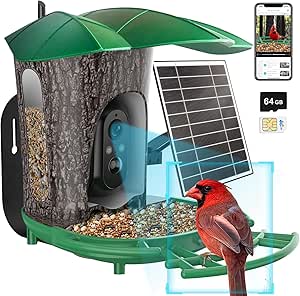 【4G LTE】 Smart Bird Feeder with Camera .Free AI Bird Identify, Bird House Camera Auto Capture Birds and Notify.4G LTE Cellular Trail/Game Camera with SIM Card.6W Solar Panel &64G SD, Ideal Gift asin的图片