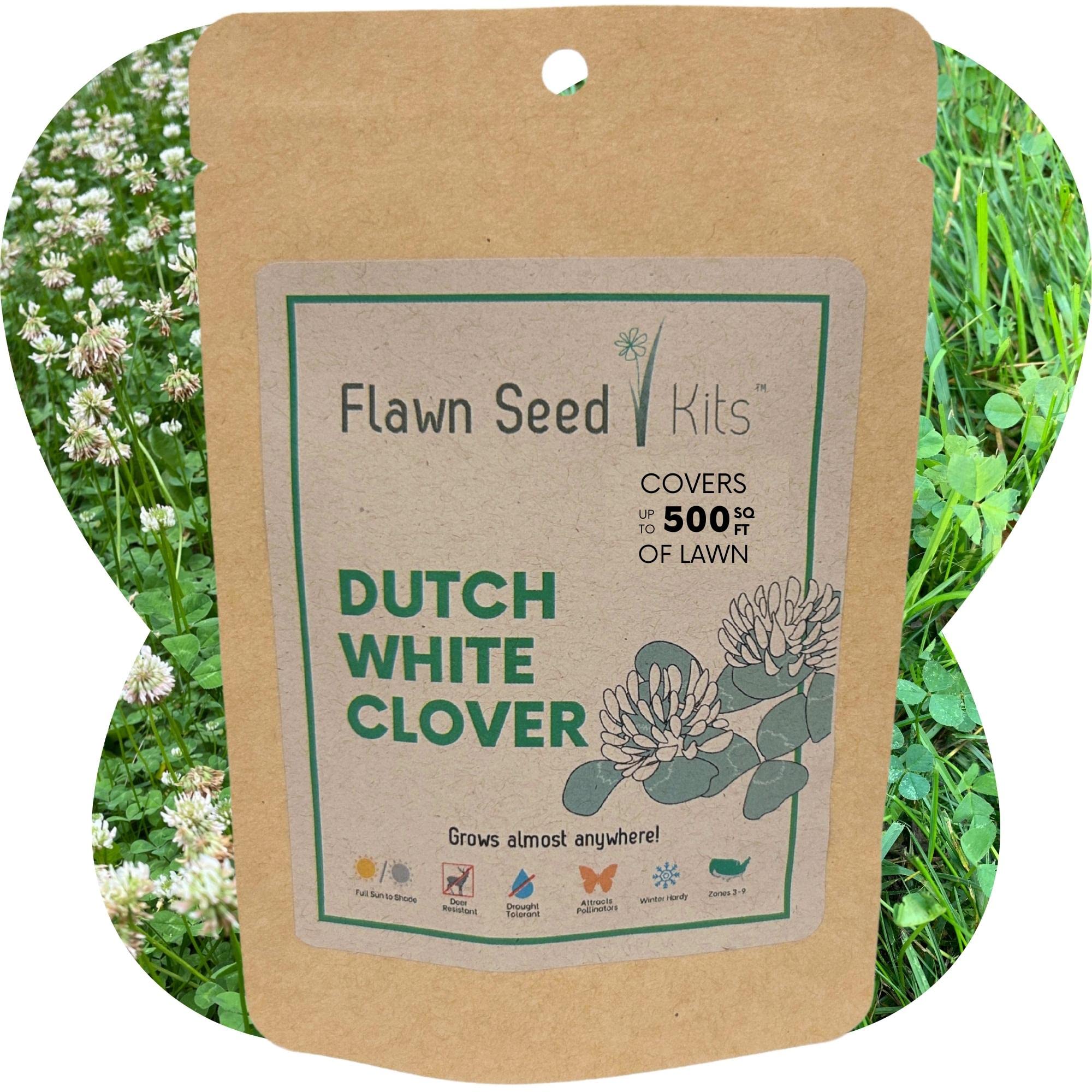 Flawn Seed Dutch White Clover Seed, Low Maintenance, Eco/Pollinator Friendly Flowering Lawn, Kid, Pet, Grass Alternative, Easy Open Compostable Pouch, Easy Spread Up to 500 SqFt