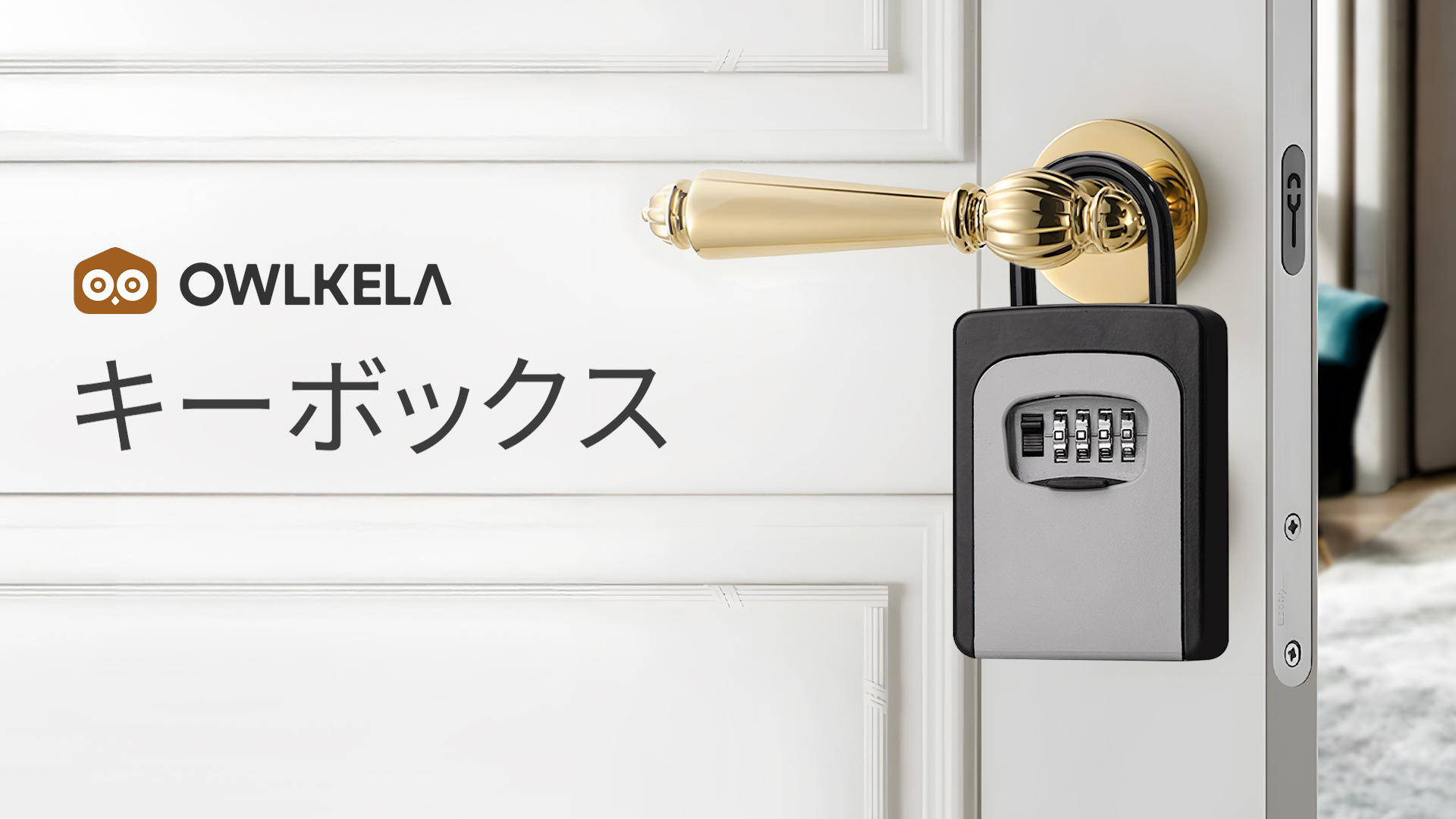 Amazon.co.jp: OWLKELA U型キーボックス 全合金 ダイヤル式 4桁暗証