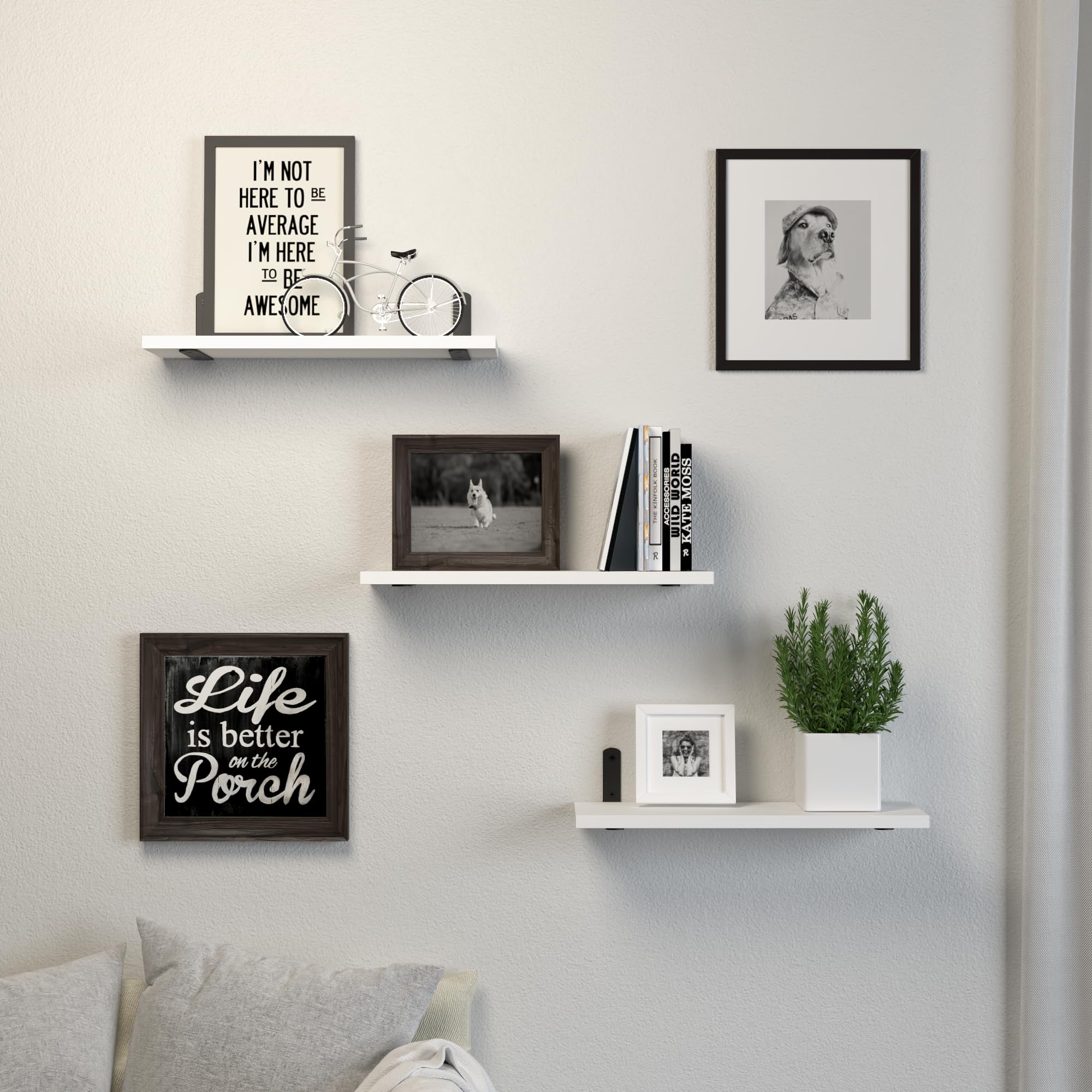 https://m.media-amazon.com/images/I/81TthlBhrrL.jpg