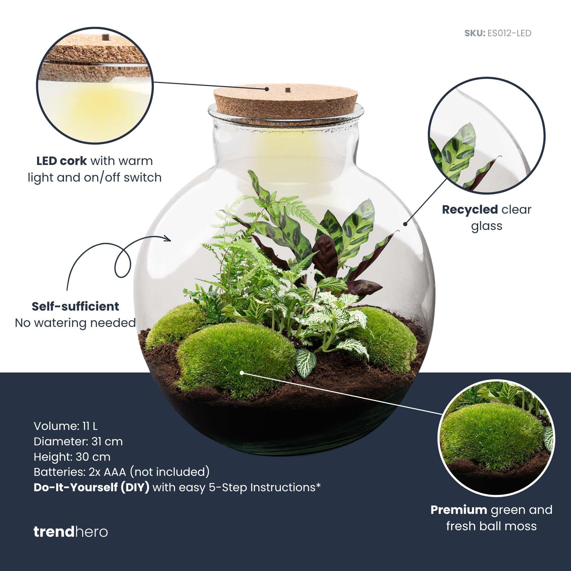 DIY Pflanzen-Terrarium mit Beleuchtung, Glas, mit Werkzeug, Ø 31x30 cm