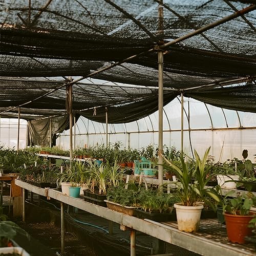 Miniatura 202 de winemana - Toldo para sombra del 90%, cubierta de sombra para perrera, resistente y duradera, lona de malla con ojales, para patio, plantas