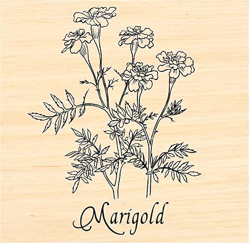 Sello de goma de caléndula P55 WM 2x1.5"