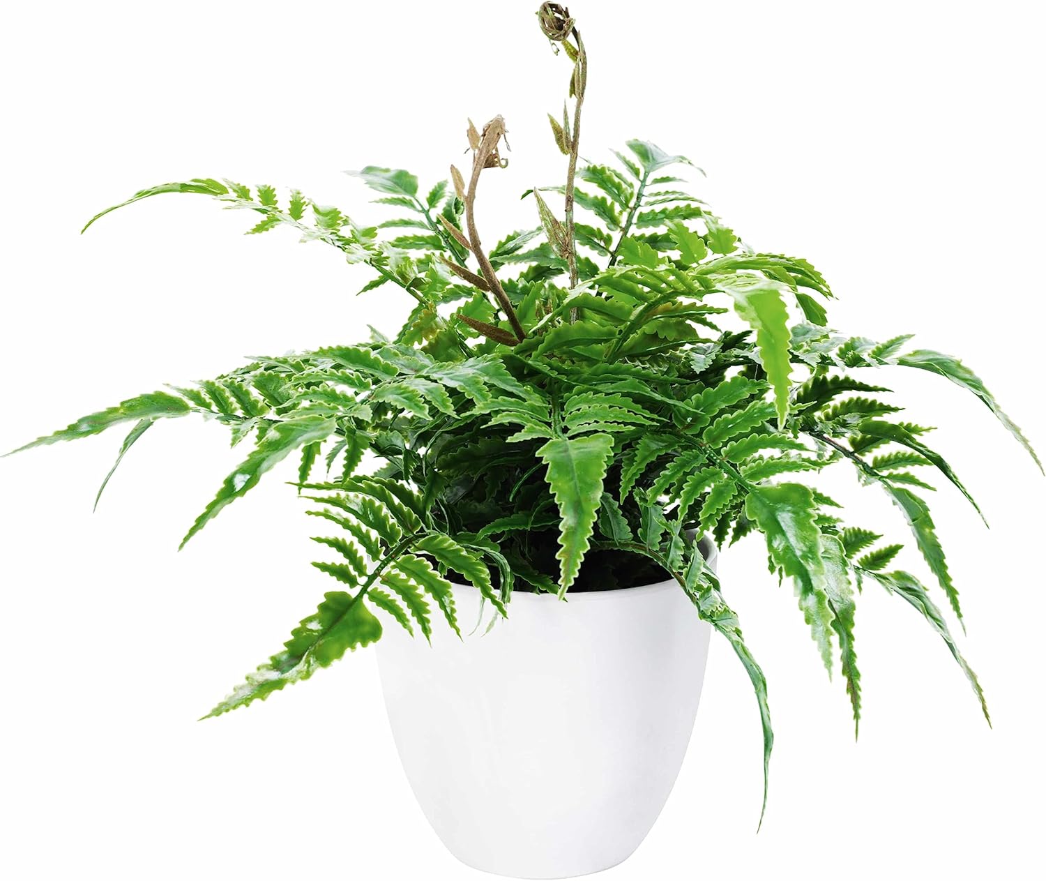 NOUKOW 14" Small Fake Boston Ferns Artificial Plants for