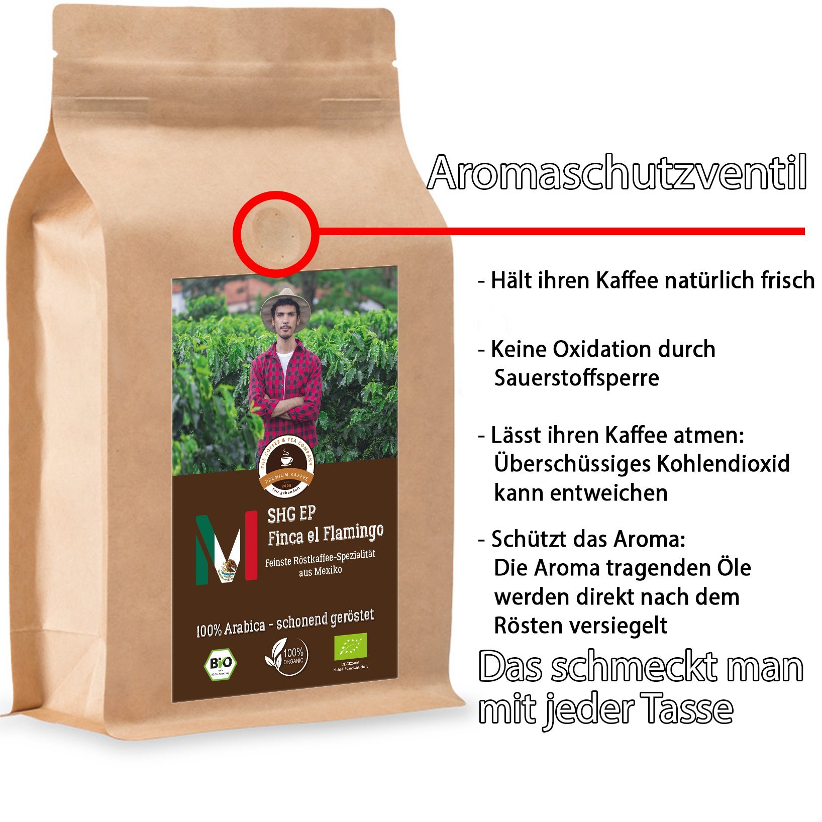 Kaffee Globetrotter - Bio Mexico Finca El Flamingo- 2 x 1000 g Ganze Bohne - für Kaffee-Vollautomat, Kaffeemühle - Röstkaffee aus biologischem Anbau | Gastropack Sparpack