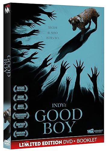 Good Boy