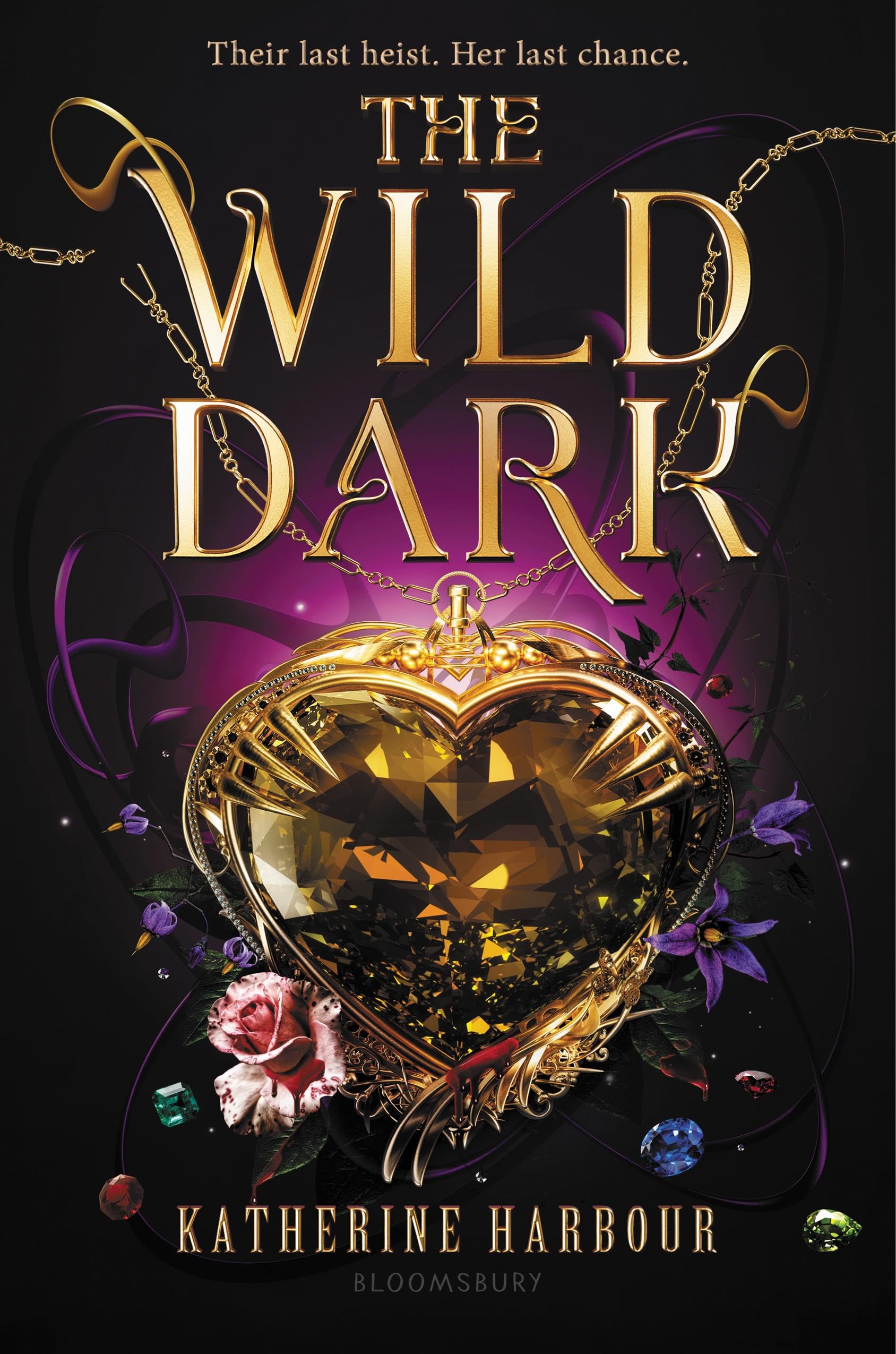 Book cover for The Wild Dark