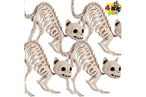 JOYIN 4 PCS Owl Skeleton Halloween Decoration Set