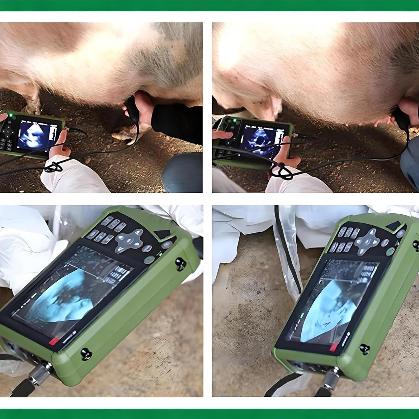 Scanner portatile a ultrasuoni animali, diagnostica veterinaria della gravidanza con sonda convessa da 3,5 MHz per cani da pastore, gatti e maiali. Stima del numero di feti, battito cardiaco fetale