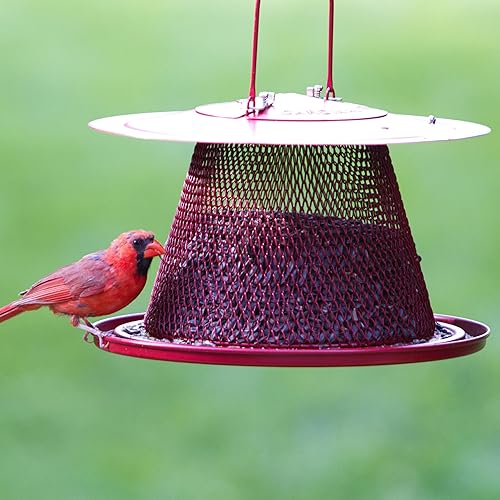 Miniatura 2 de NoNo Red Cardinal c00322 alimentador de aves Paquete de 1 Rojo