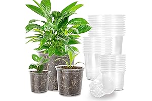 36-Pack Clear Nursery Pots for Seedlings