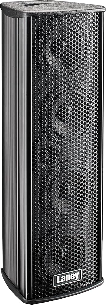 Amazon.co.jp: Laney (レイニー) 電池駆動マルチアンプ