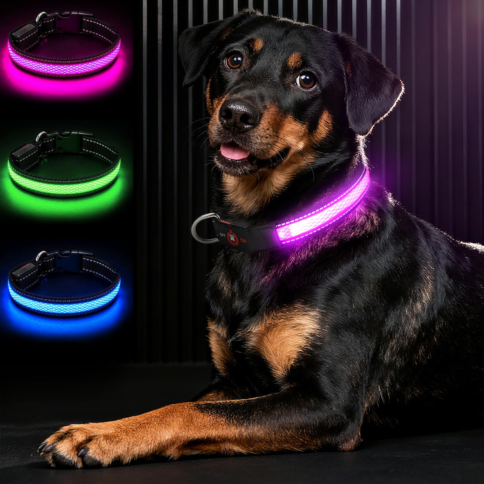 Bamda LED Light Up Dog Collar for Small Medium Dogs, Pink M