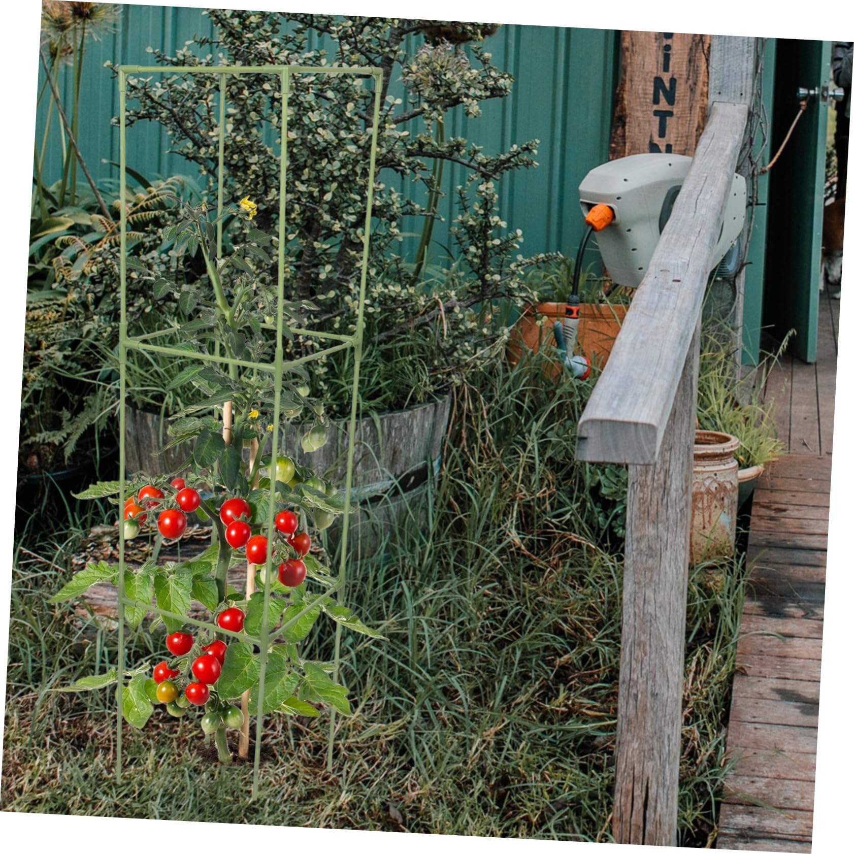 Support de Plantes réutilisable Cadre Support des aubergines Stand de Soutien des Plantes Soutien à la Vigne Treillis Potager de l'usine Rack d'escalade Green