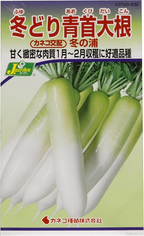 Amazon カネコ種苗 野菜タネハイクオリティ 冬どり青首大根 冬の浦 10袋セット 232 野菜