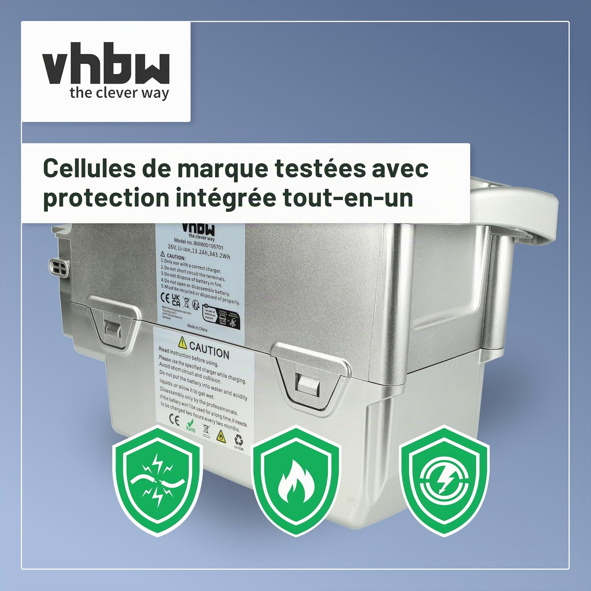 vhbw Batterie Compatible avec Flyer Cargo