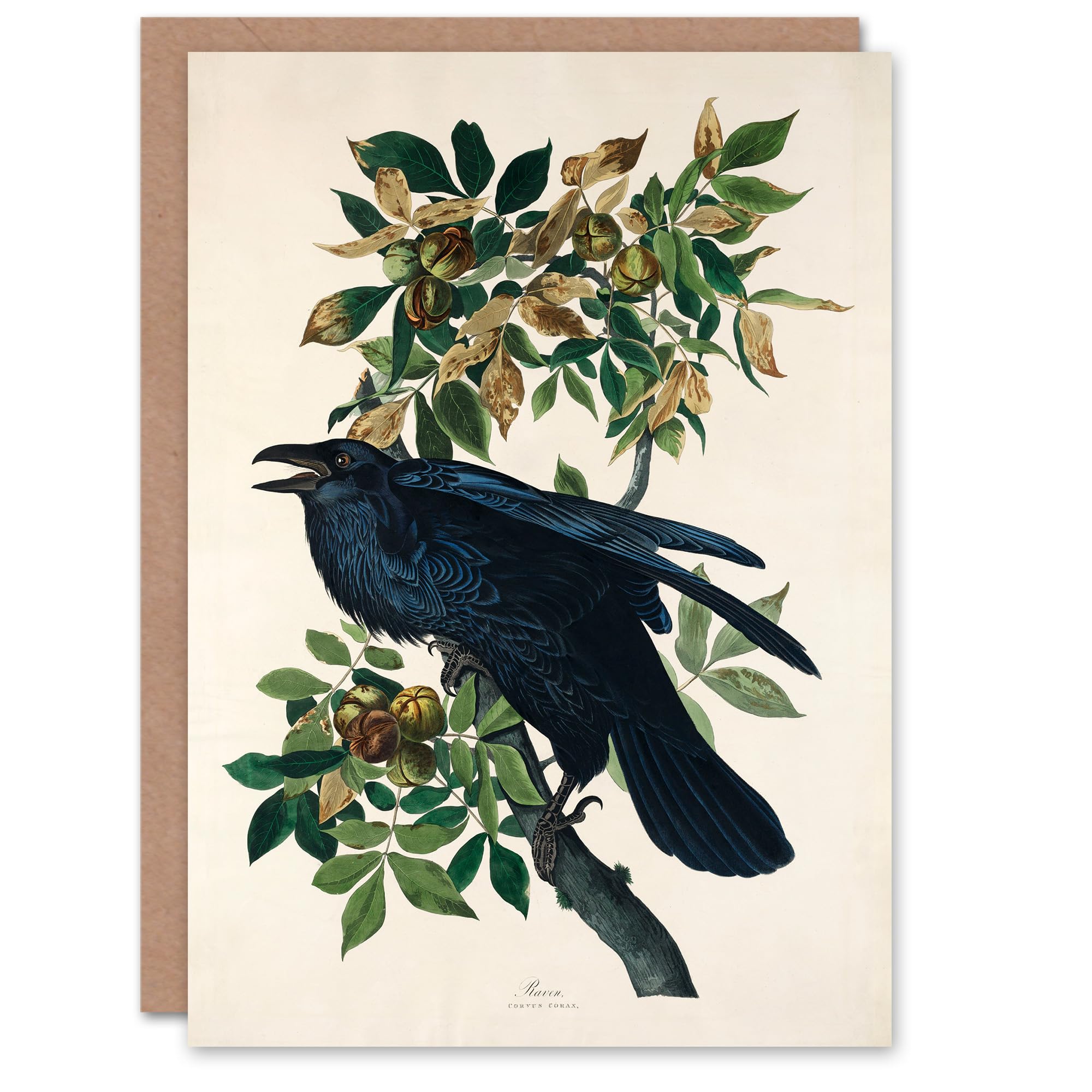 Artery8 John James Audubon Art Card Birds of America Raven