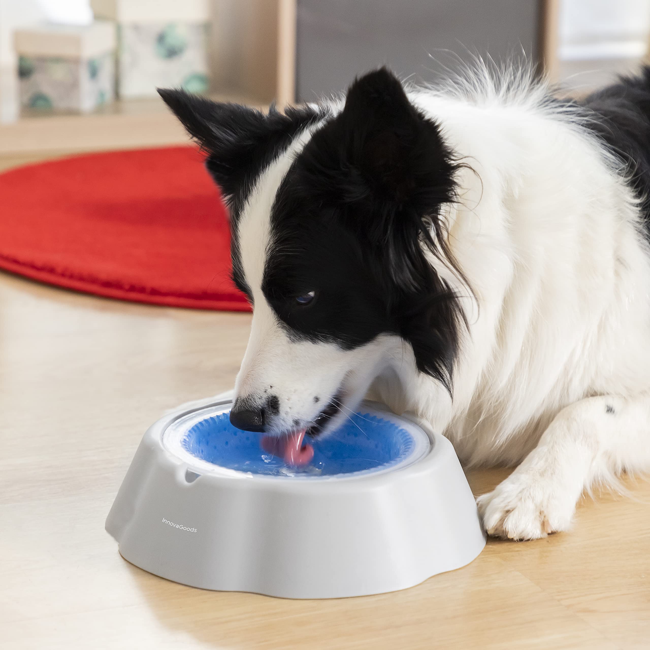 Bebedero Refrescante para Mascotas Freshty InnovaGoods, Gris Azul