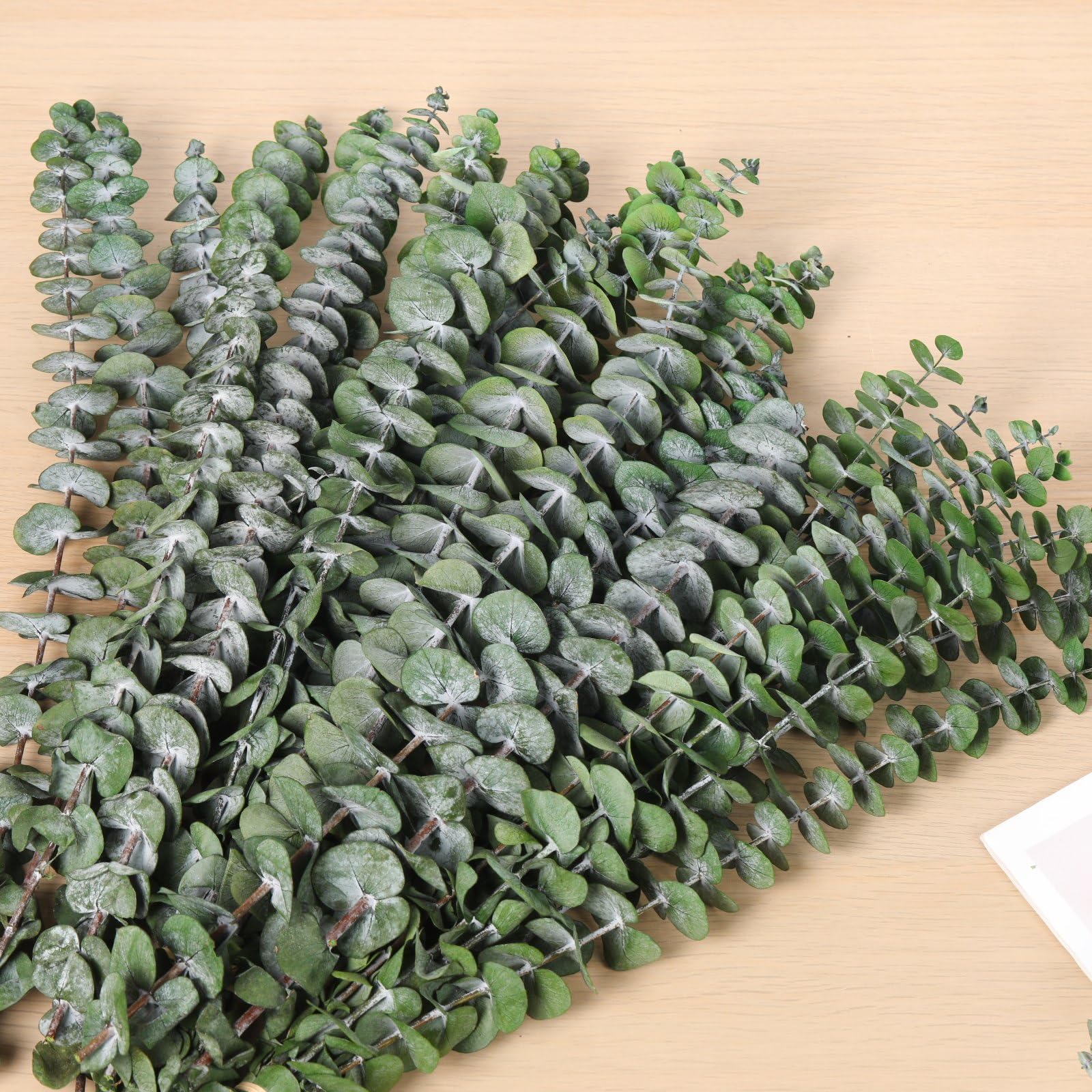 Lot de 30 tiges d'eucalyptus séchées pour suspension de douche, décoration