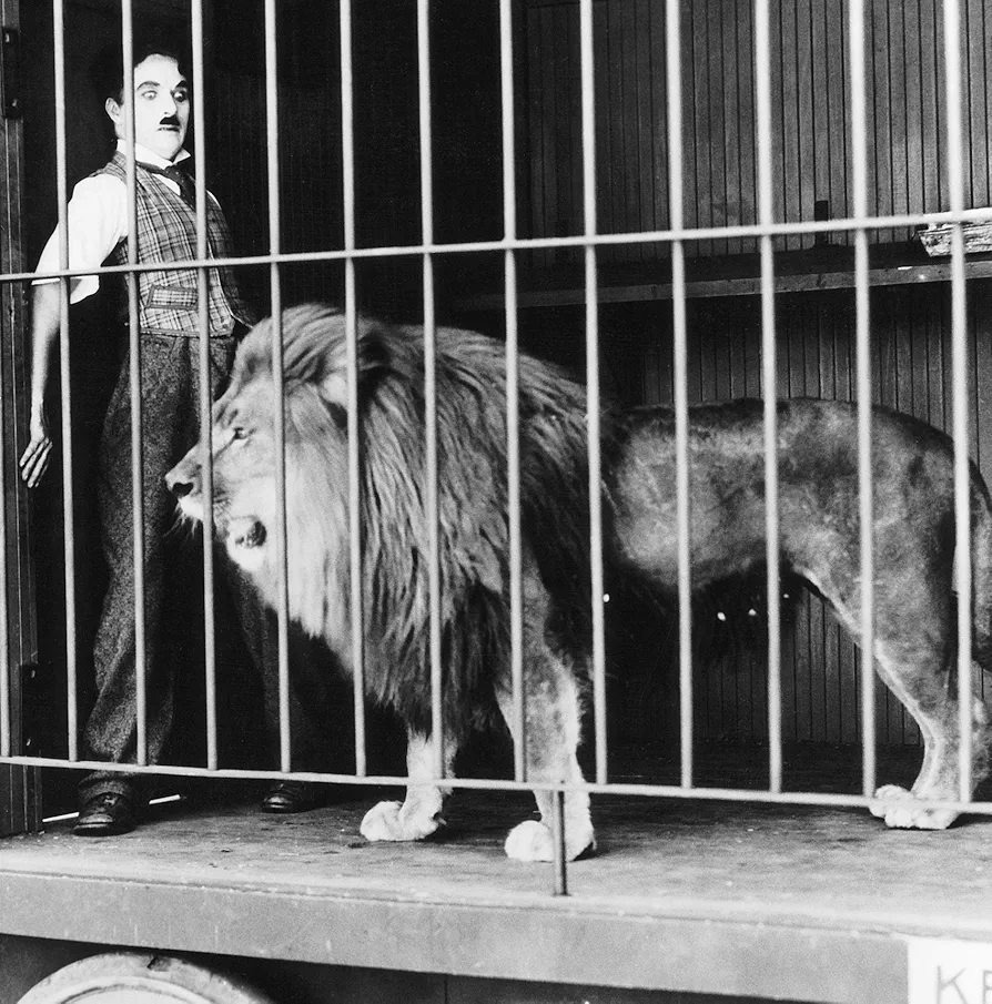 FANTASTIC◇CIRCUS　Blu-ray 91xE1GHZdFL._UF350,350_QL50_.jpg