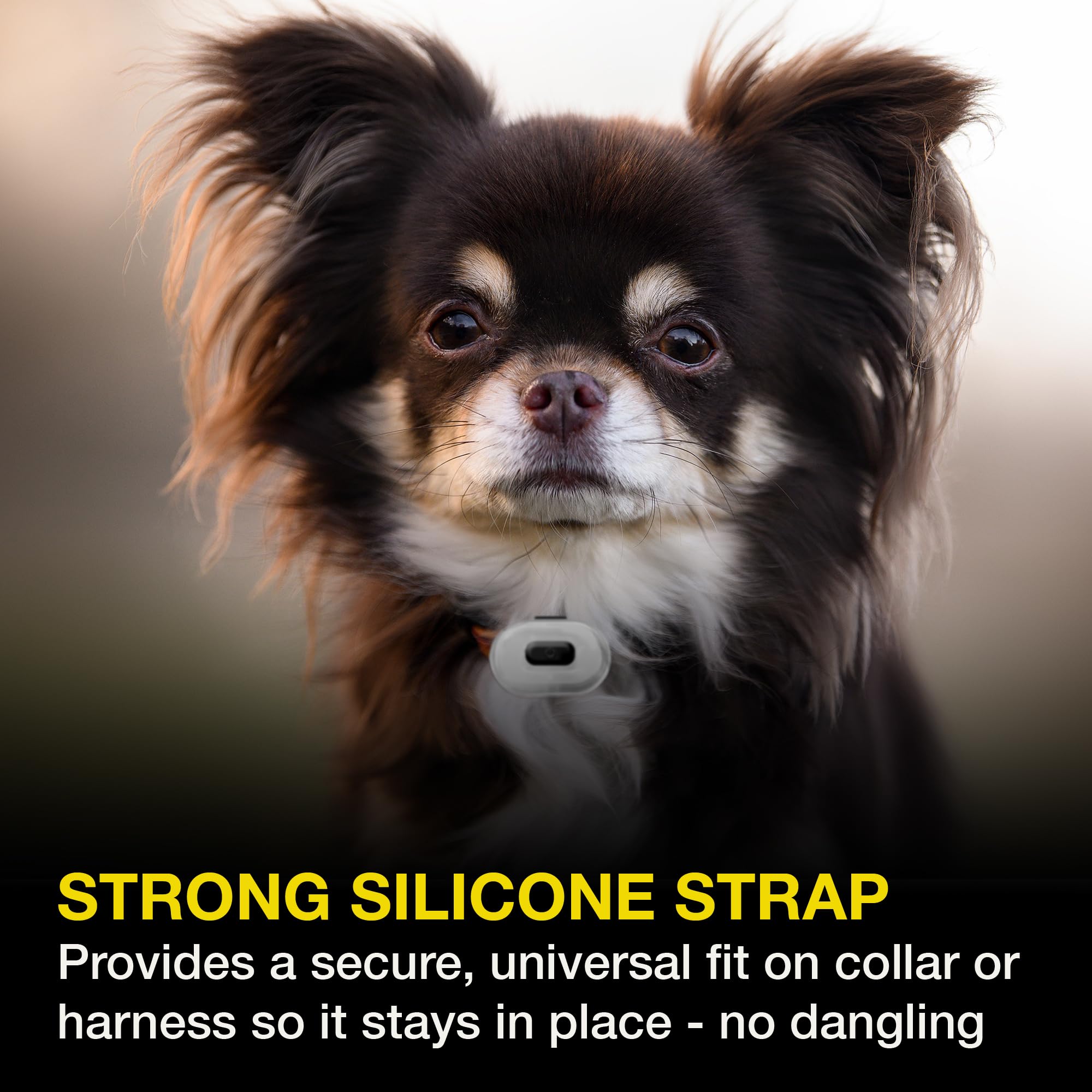 Max & Molly 4894512014589 Matrix Ultra LED Licht für Hunde  