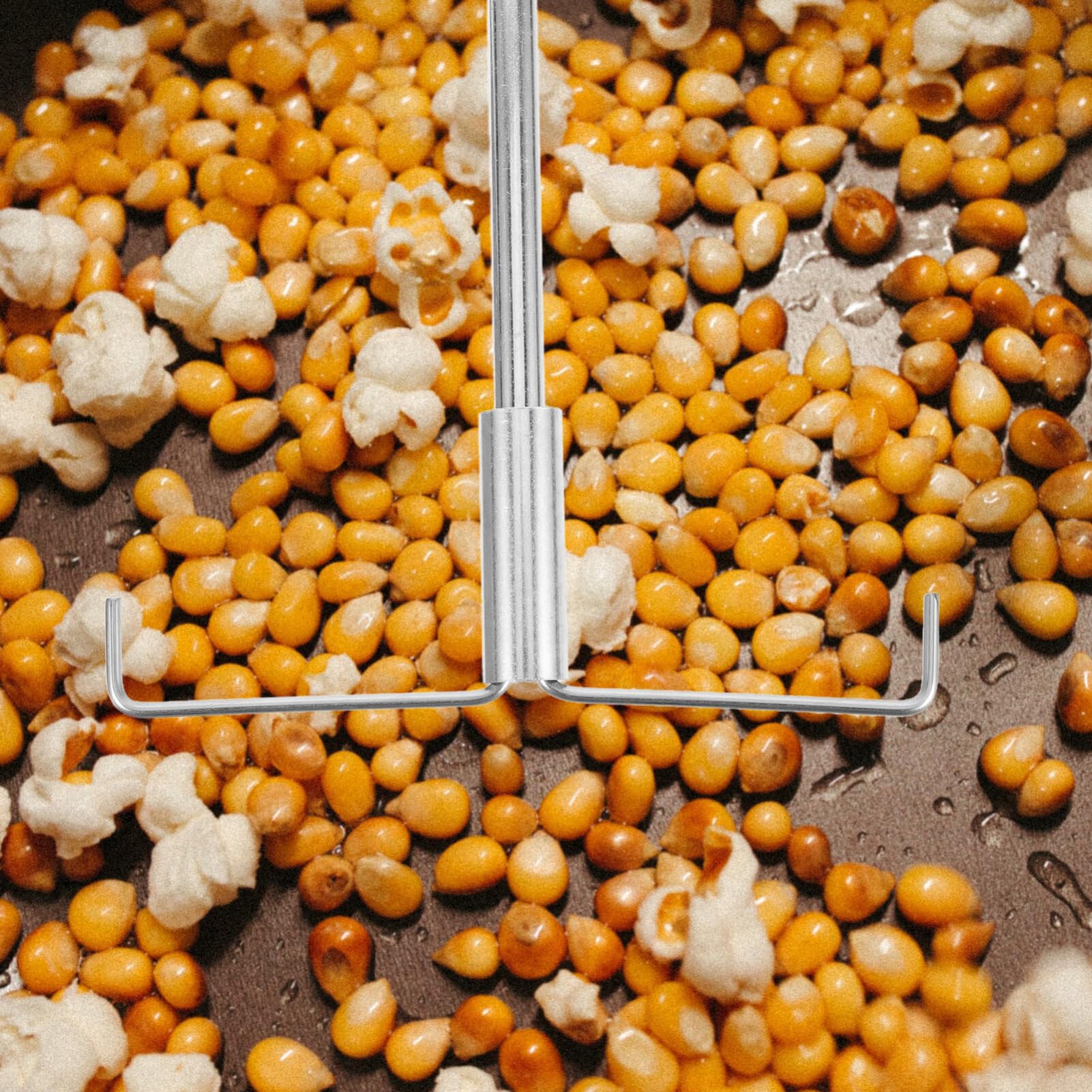 Fun&Taste P'Corn Lotus Macchina Per Popcorn Cecotec - Foto 13