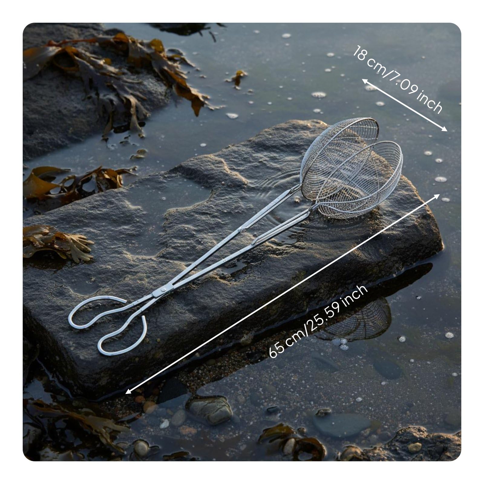 Pince INOX Saisie Fruits de Mer Pince Grille Cage Long Manche Maintien Sécurisé Prise Confort Allonge pour Eaux Peu Profondes Outil Polyvalent Adapté à Rivages Ruisseaux Crustacés, 65CM