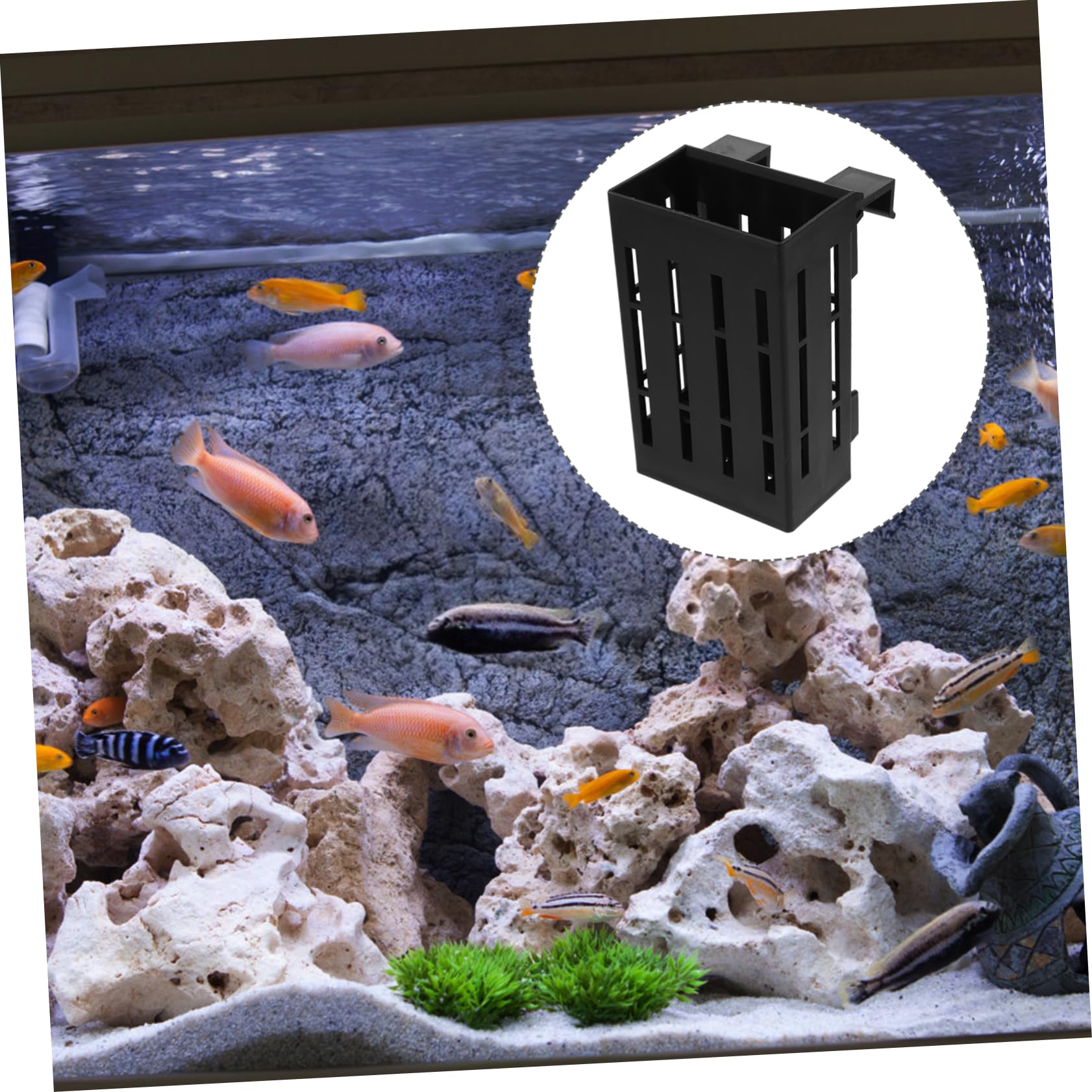 Didiseaon Supporto per Piante Acquatiche Sospeso in Plastica Nero 4 Pezzi per Acquario Fori per Flusso d'Acqua per Piante d'Acqua Dolce in Vasca Pesci